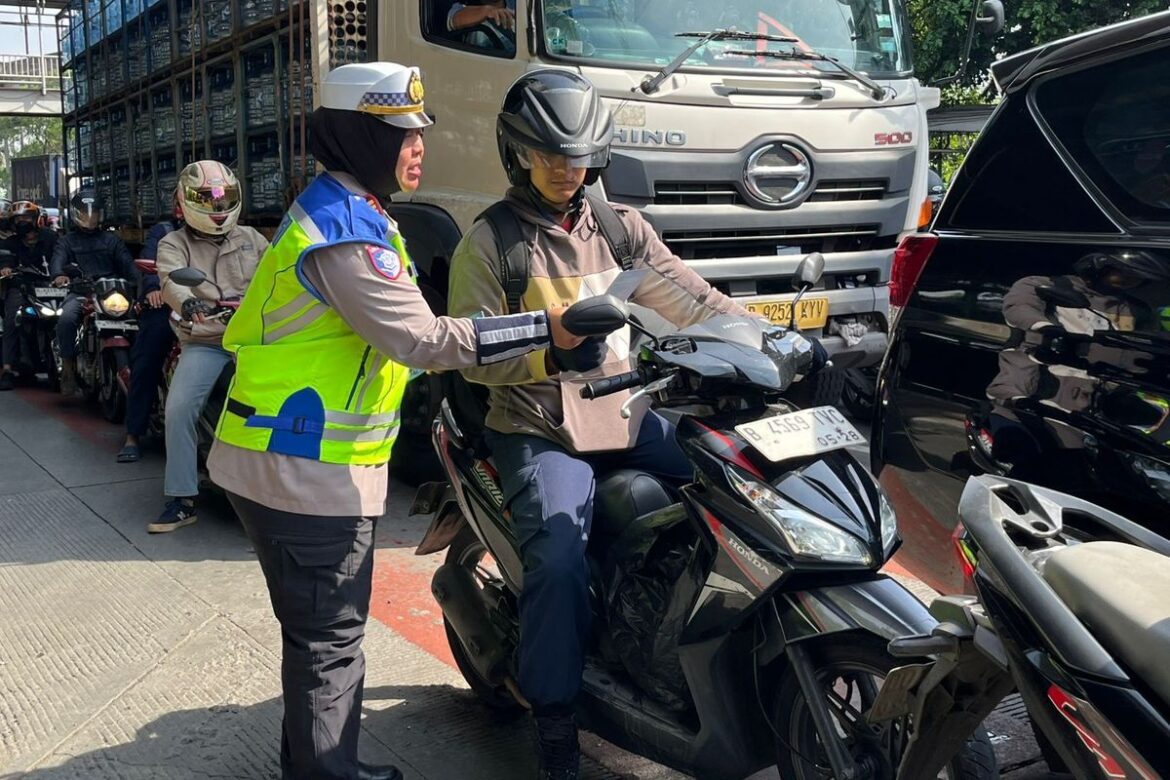 operasi zebra
